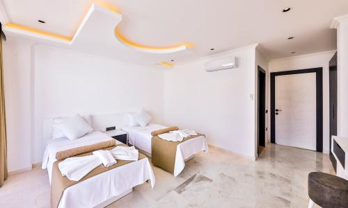 Villa Puma — 42