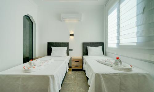 Villa Ramos — 50