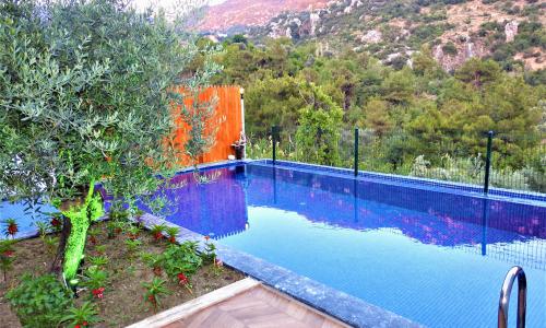 Villa Rayna — 13