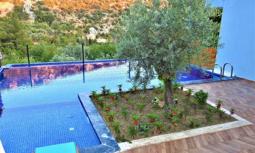 Villa Rayna — 3