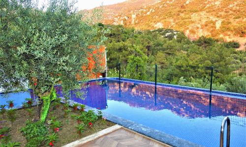 Villa Rayna — 1