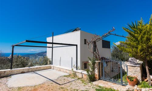 Villa Reis — 55