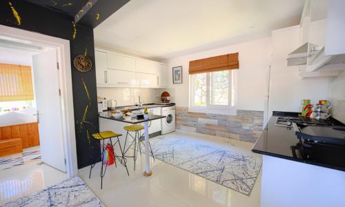 Villa Renk İslamlar — 8