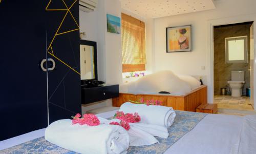 Villa Renk İslamlar — 31