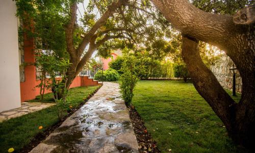 Villa Rota 3 — 3