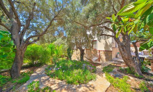 Villa Sarı Kaş — 13
