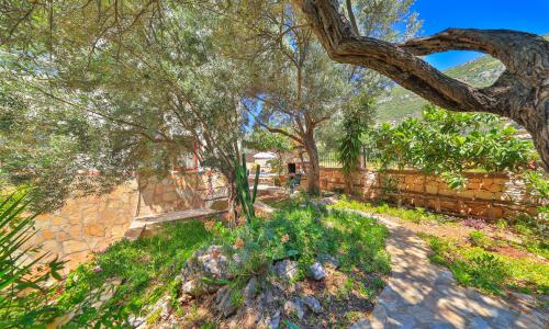 Villa Sarı Kaş — 14