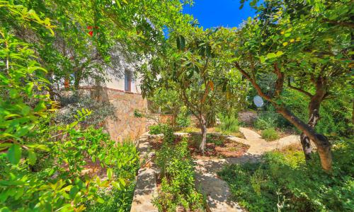 Villa Sarı Kaş — 16