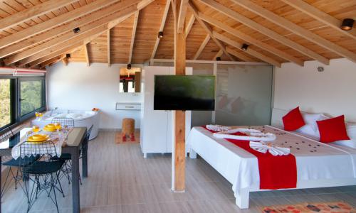 Villa Saten — 17
