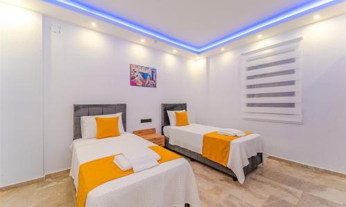 Villa Sea Pro — 55