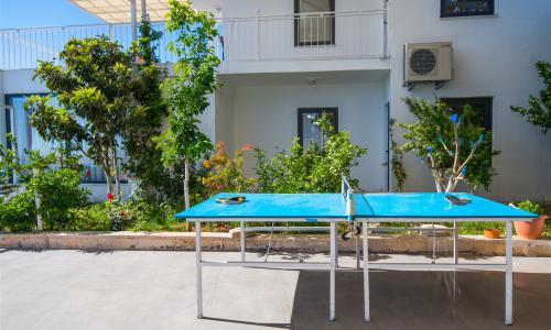 Villa Seboş — 22