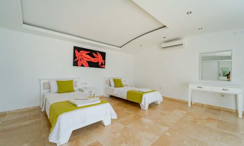 Villa Serenity — 88