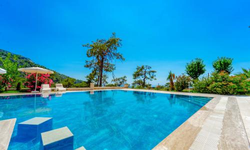 Villa Serenity — 28
