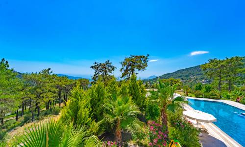 Villa Serenity — 31