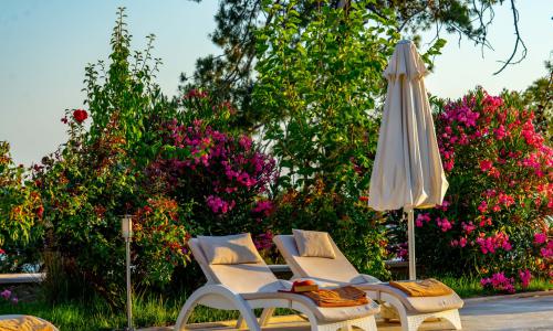 Villa Serenity — 46