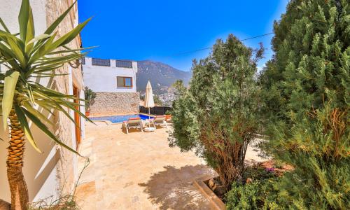 Villa Serta — 11