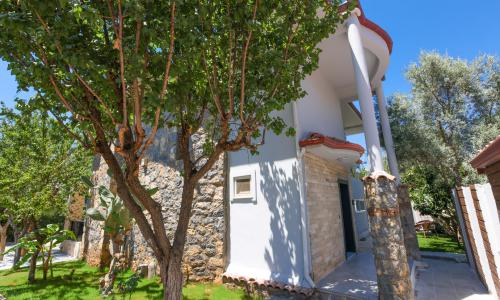 Villa Seyir — 80