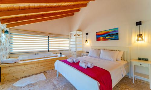 Villa Sirius Bezirgan — 28