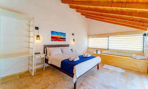 Villa Sirius Bezirgan — 36