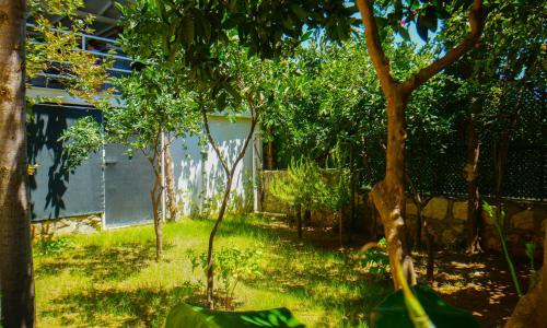 Villa Sole Mare Demre — 8