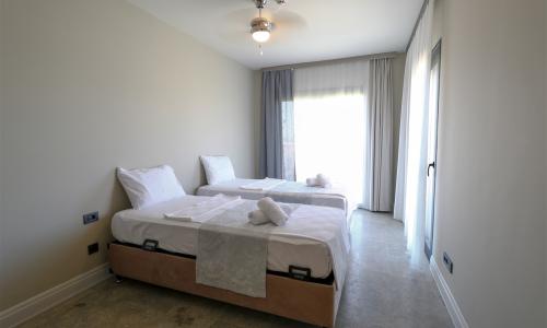 Villa Summer 4114 — 44