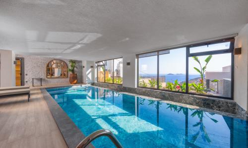 Villa Supernova — 17
