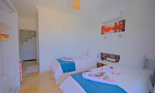 Villa Tepes — 34