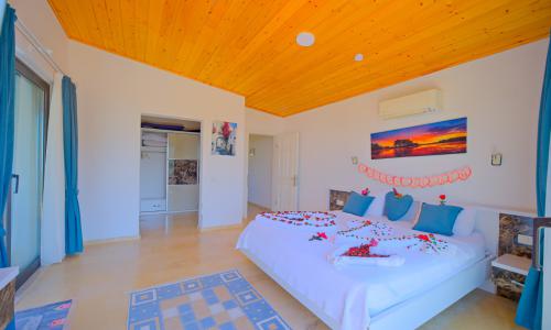 Villa Tepes — 40