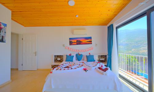 Villa Tepes — 43