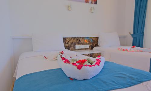 Villa Tepes — 47