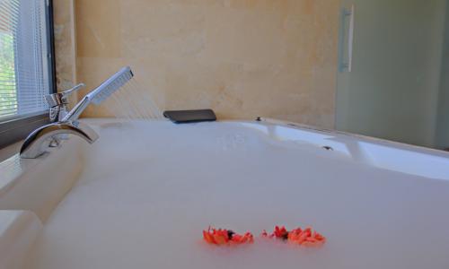 Villa Tepes — 50