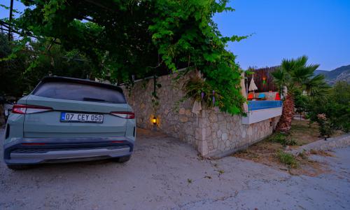 Villa Tepes — 22