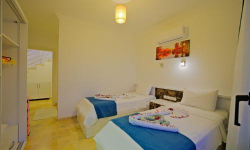 Villa Tepes — 62