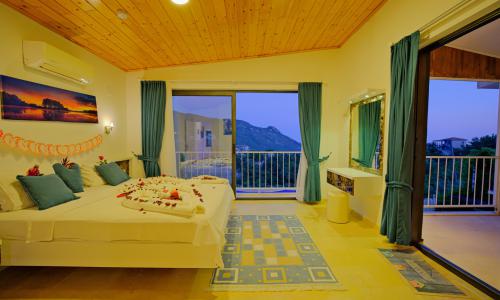 Villa Tepes — 66