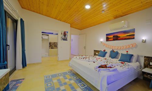 Villa Tepes — 67