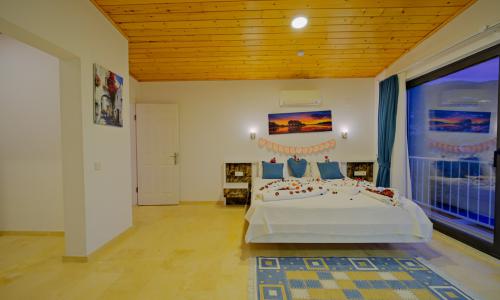 Villa Tepes — 68