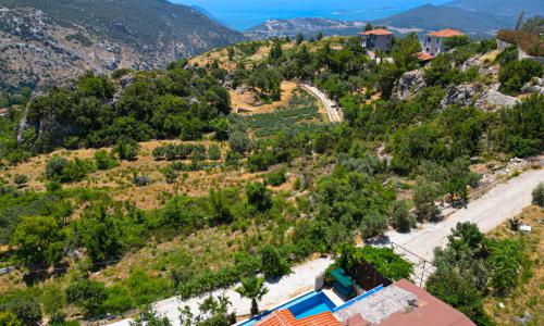 Villa Tepes — 76