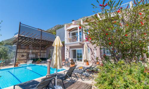 Villa Tulip