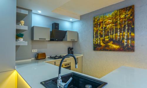 Villa Uğurlu Kışla — 46