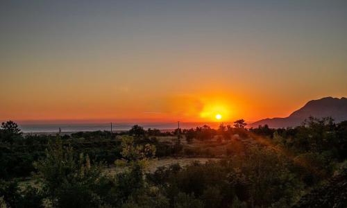 Villa Olivet — 7