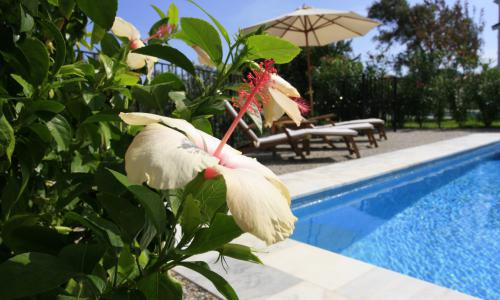 Villa Vgm 403 — 8