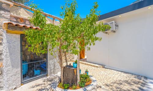 Villa Vivienda — 17
