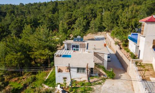 Villa Volga — 55