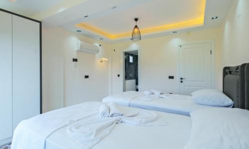 Villa White 1 — 25