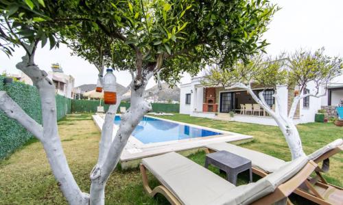 Villa Wilma — 14