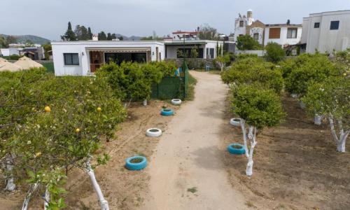 Villa Wilma — 45