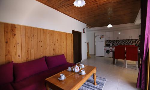 Villa Yelsa — 17