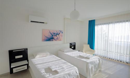 Villa Yusef — 56