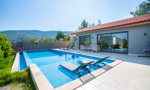 Villa Zelyus — 8
