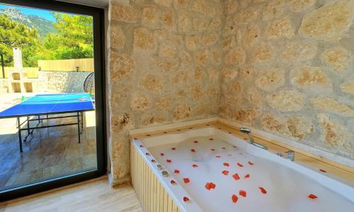 Villa Zeyn 3 — 24
